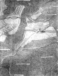 Kiesersche Forstkarte Nr. 188 Detail Bodnang (Stuttgart- Botnang)