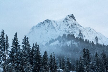 Mountain summit winter forest photo