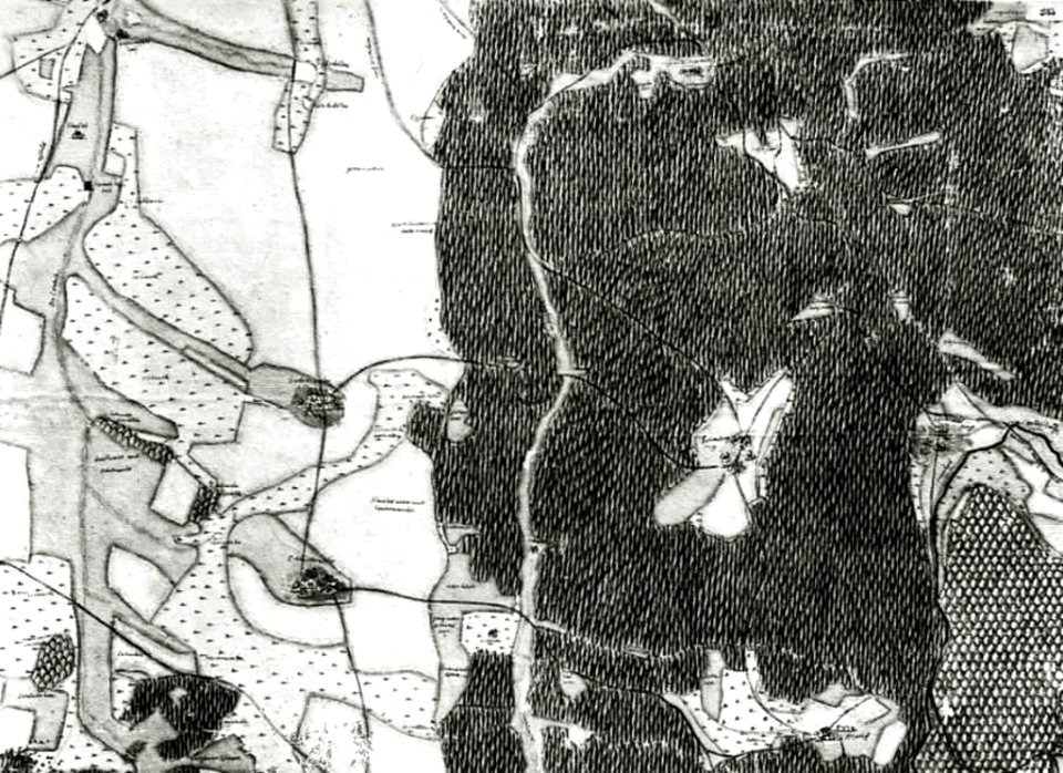 Kiesersche Forstkarte Nr. 235 Seiboldtzweiler (nördlich von Welzheim)