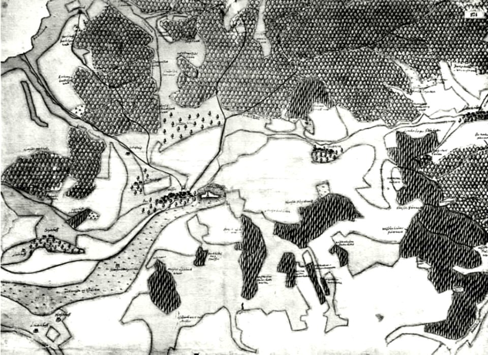 Kiesersche Forstkarte Nr. 274 Stauffen (Hohenstaufen)