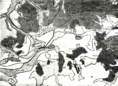 Kiesersche Forstkarte Nr. 274 Stauffen (Hohenstaufen)