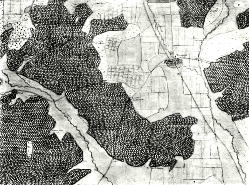 Kiesersche Forstkarte Nr. 28 Frickenhausen