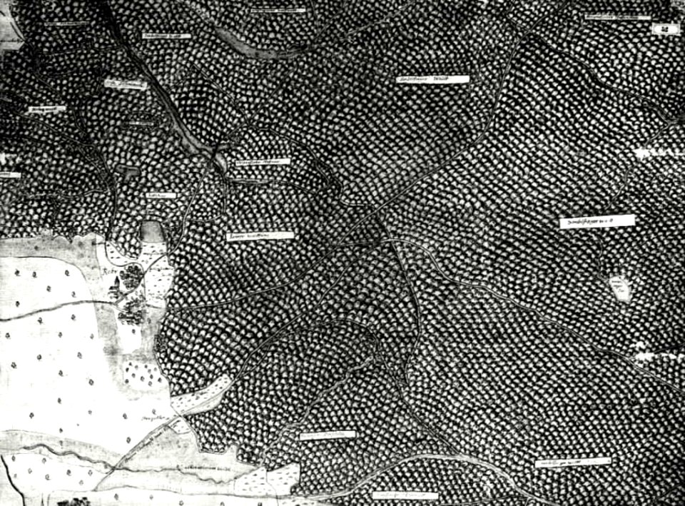 Kiesersche Forstkarte Nr. 52 Rohr
