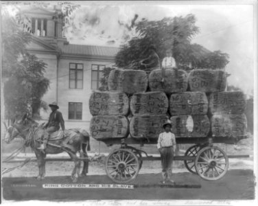 King Cotton and his slaves, Greenwood, Miss. LCCN2012647871
