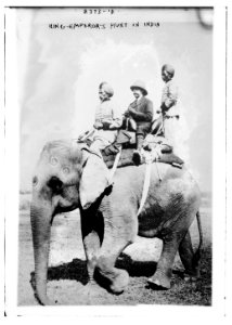 King Emperor's Hunt in India LCCN2014690191