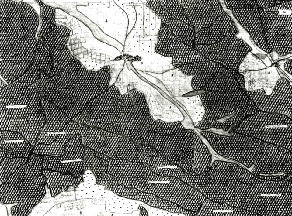 Kiesersche Forstkarte Nr. 90 Häffnerhaslach
