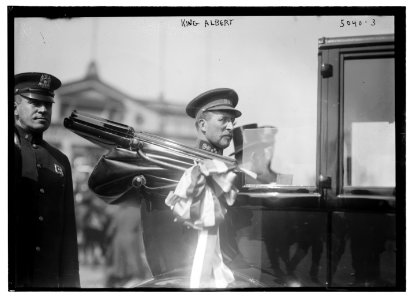King Albert LCCN2014709667