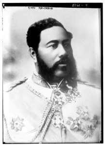 King Kalakaua LCCN2014686540
