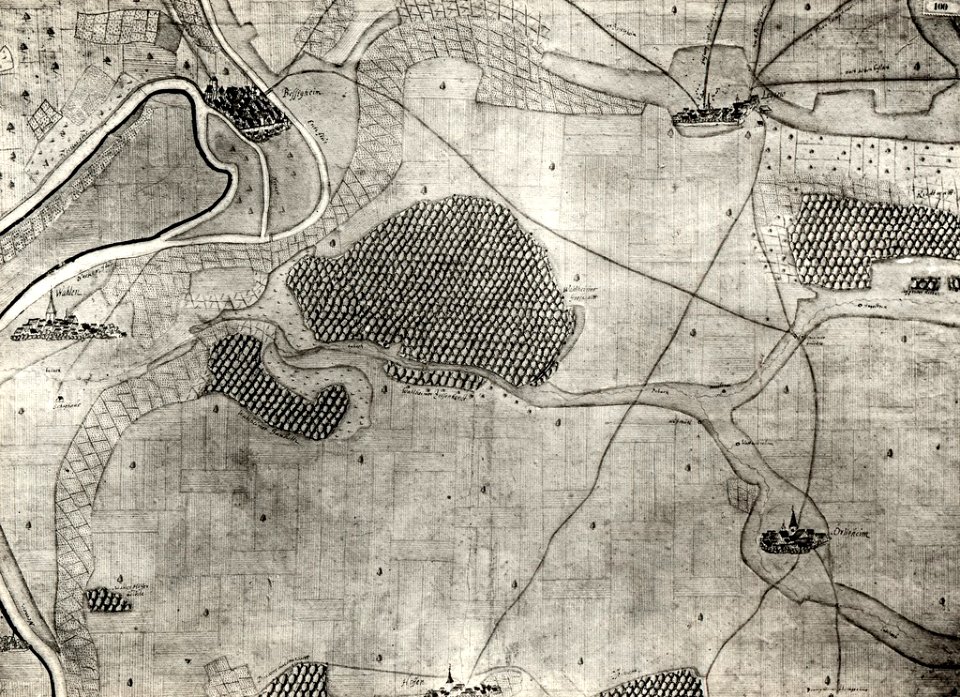 Kiesersche Forstkarte Nr. 100 Bessigheim (Besigheim)