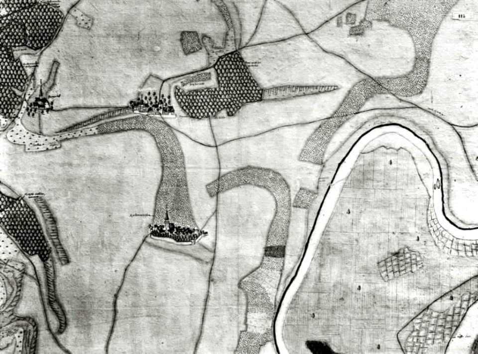 Kiesersche Forstkarte Nr. 115 Kaltenwesten (Neckarwestheim)