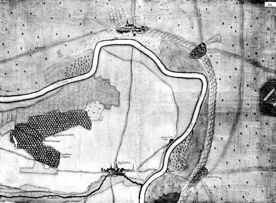 Kiesersche Forstkarte Nr. 155 Bleydelsheim (Pleidelsheim)