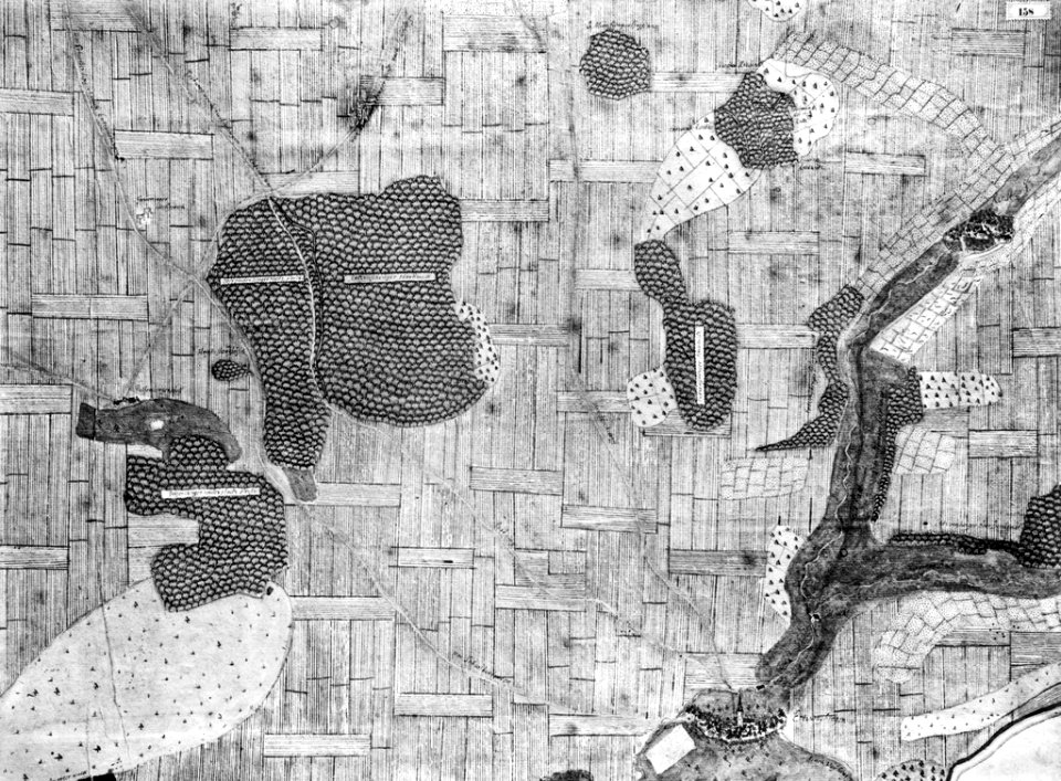 Kiesersche Forstkarte Nr. 158 Entzweyhingen (Enzweihingen)