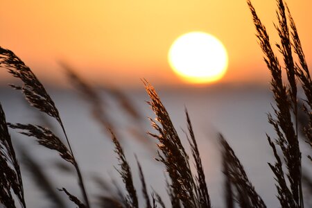 North sea fehmarn landscape
