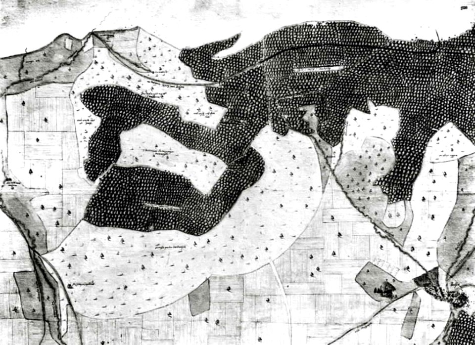 Kiesersche Forstkarte Nr. 230 Belsen