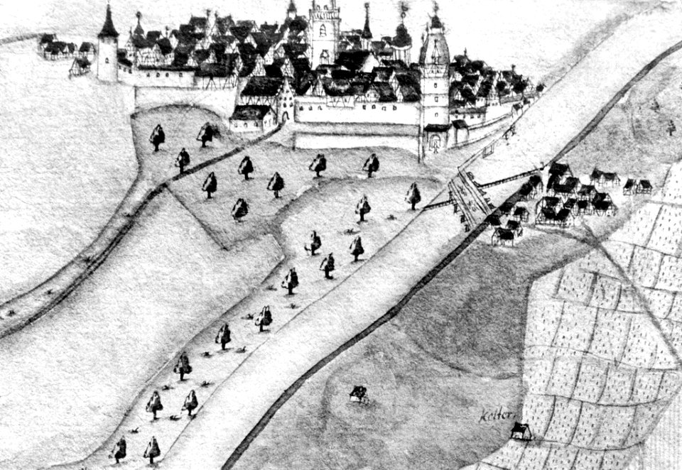 Kiesersche Forstkarte Nr. 243 Cannstatt
