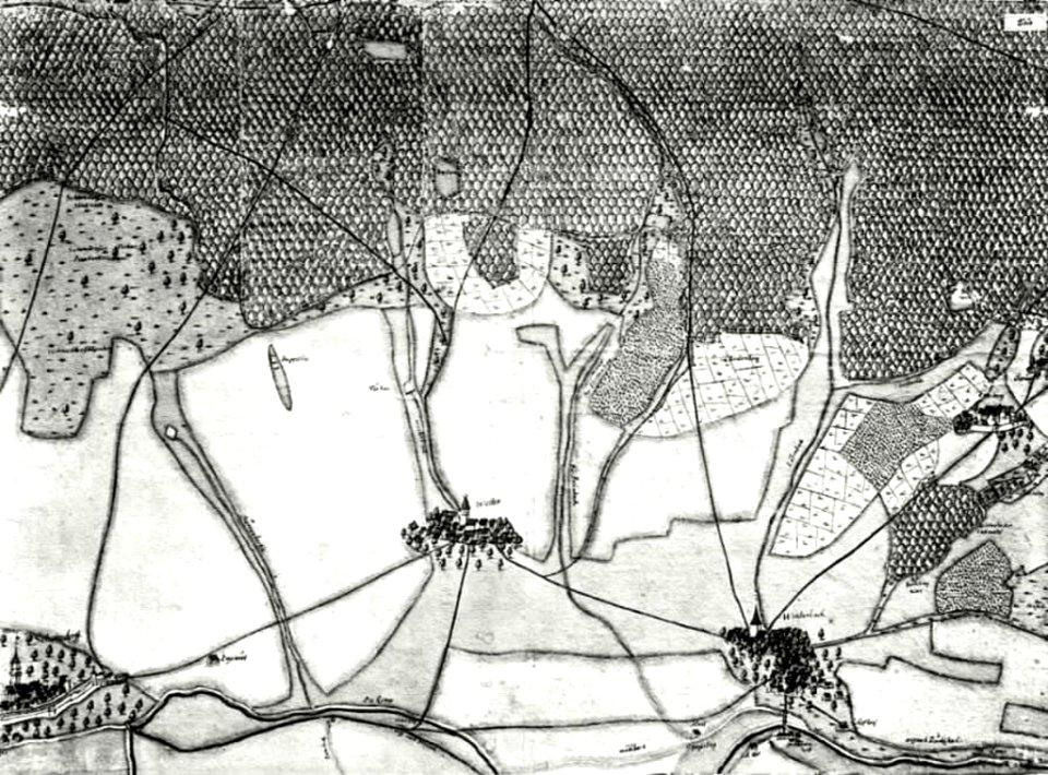 Kiesersche Forstkarte Nr. 255 Schorndorff (Schorndorf)