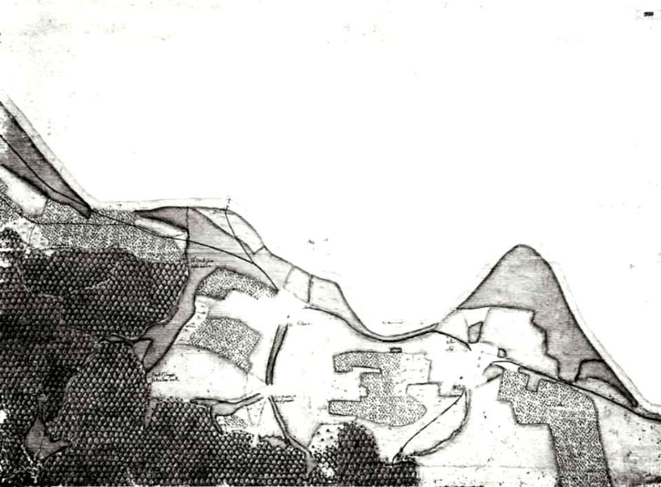 Kiesersche Forstkarte Nr. 269 Allbach und Zell (Altbach und Zell)