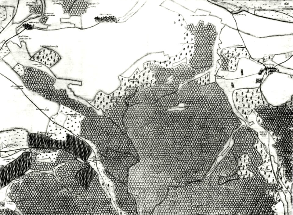 Kiesersche Forstkarte Nr. 272 Holtzhausen (Holzhausen)
