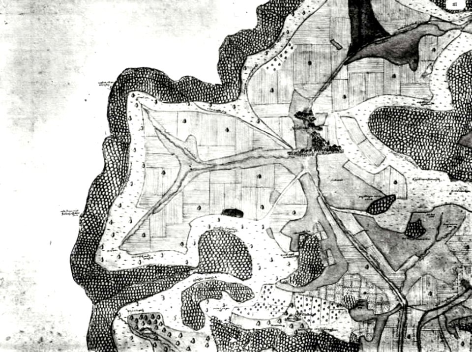 Kiesersche Forstkarte Nr. 37 Neydtlingen (Neidlingen)
