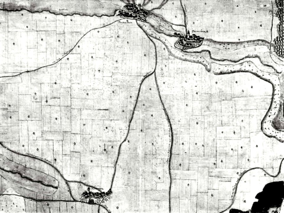 Kiesersche Forstkarte Nr. 50 Dagersheim