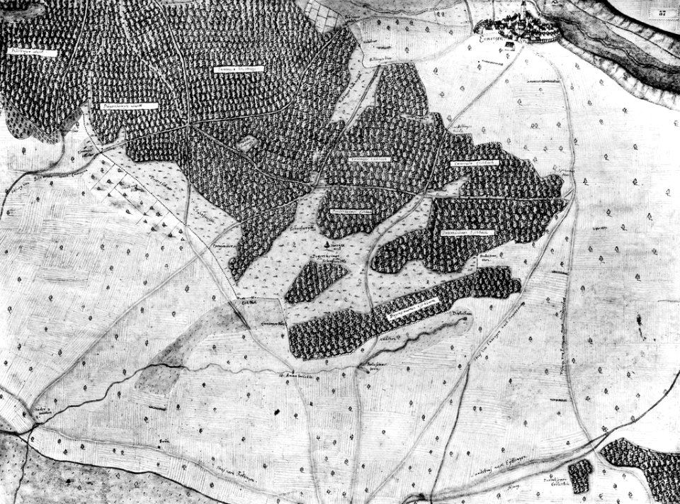 Kiesersche Forstkarte Nr. 57 Enningen (Ehningen bei Böblingen)