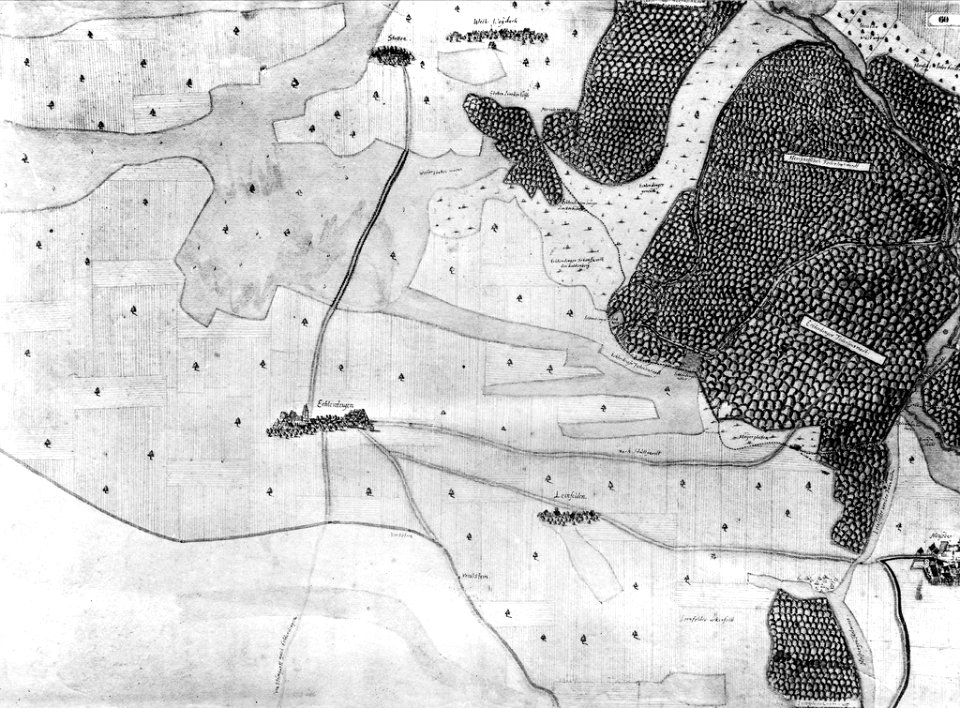 Kiesersche Forstkarte Nr. 60 Echterdingen