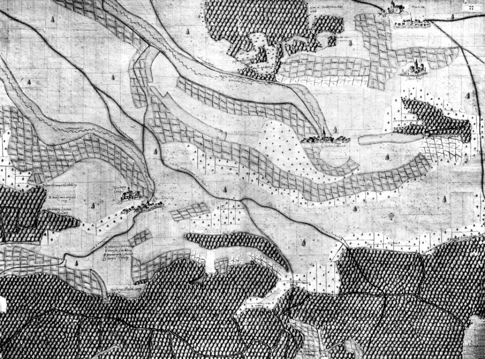 Kiesersche Forstkarte Nr. 77 Neyberg (Neipperg)