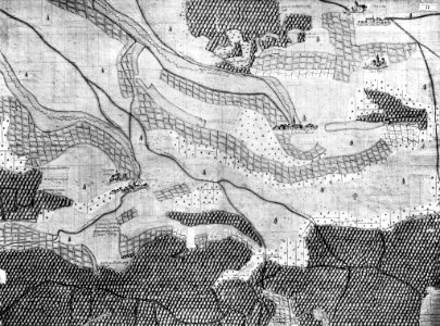 Kiesersche Forstkarte Nr. 77 Neyberg (Neipperg)