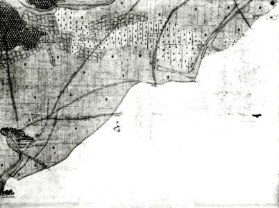 Kiesersche Forstkarte Nr. 80 Derdingen