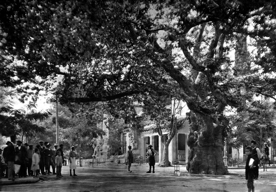 Kifissia 1920 Boissonnas