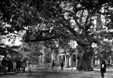 Kifissia 1920 Boissonnas