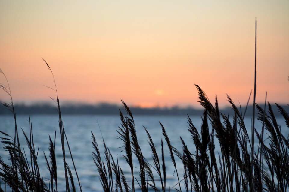 Fehmarn sea landscape