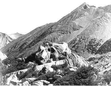 Kings Canyon Peak near Rac Lake Aah01 photo