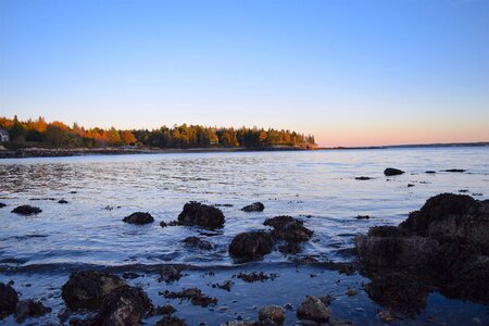 Ocean rocks trees