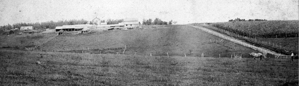 King, David Ward Farm Cr C.1900