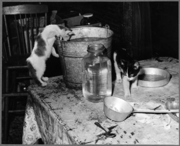 Kitchen in a miner's home. Kentucky Straight Creek Coal Company, Belva Mine, abandoned after explosion Dec. 1945... - NARA - 541185