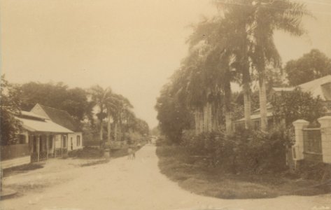 KITLV - 100646 - Post Office (2nd from left) in Combé, Paramaribo - circa 1895
