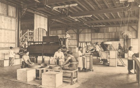KITLV - 101127 - Kleingrothe, C.J. - Medan - Sorting and drying room in a tea factory, probably the Naga Hoeta (Naga Huta) Estate in Pematangsiantar (Kota Pematangsiantar, Pematang Siantar) - circa 1905