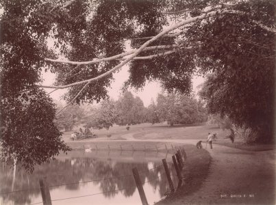 KITLV - 103741 - Lambert & Co. - Botanical Garden at Singapore - circa 1885