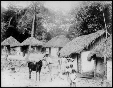 Kingston, Jamaica, and vicinity- natives and donkey in front of thatched-roof houses LCCN2003678375