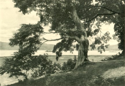 KITLV - 101137 - Kleingrothe, C.J. - Medan - Beach on Lake Toba at Simanindu on Samosir - circa 1905