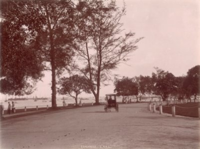 KITLV - 103743 - Promenade in Singapore - circa 1890 photo