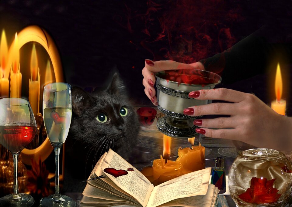 Cat fingers witchcraft
