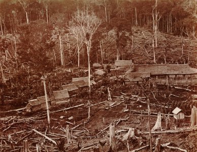 KITLV - 103803 - Village surrounded by land reclamations, probably in Singapore - circa 1890 photo