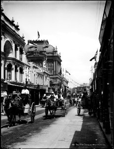 King Street, Sydney, Centenary 1888 from The Powerhouse Museum Collection
