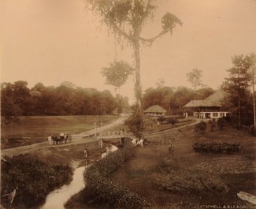 KITLV - 111129 - Stafhell & Kleingrothe - Private tobacco plantation, presumably Arendsburg, Sungai Bras at Deli - 1891