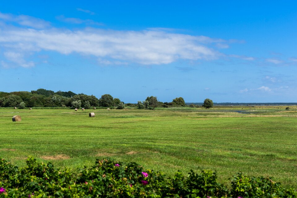 Agriculture cloudy hay