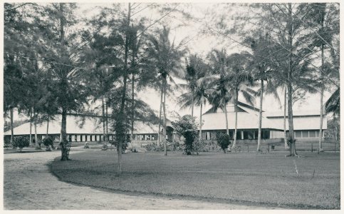 KITLV - 12599 - Kleingrothe, C.J. - Medan - Fermentation barn on tobacco plantation Sungei Bahasa near Batangkuwis in Deli - 1903