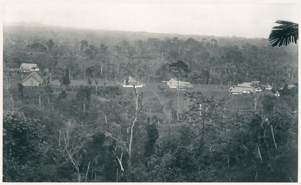 KITLV - 12615 - Kleingrothe, C.J. - Medan - Tobacco plantation Kotta-Djoeroeng at Gunungrintih in Deli - 1903