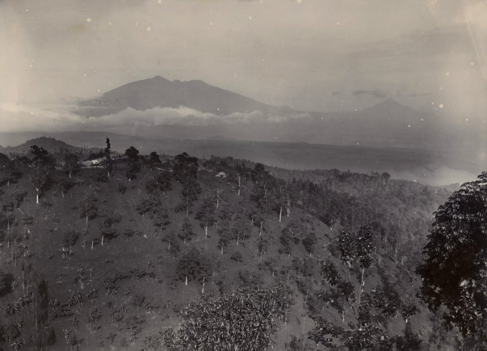 KITLV - 114096 - Kurkdjian, Ohannes - The Ardjoeno the Welirang and Penanggoengan with in the foreground the sanatorium Telagasari, presumably at Tosari - 18-6-1901 - 28-6-1901